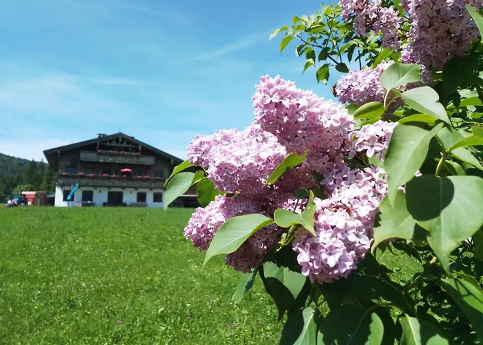 Hinterwinkl Apartman Achenkirch