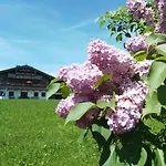 Hinterwinkl Lägenhet Achenkirch
