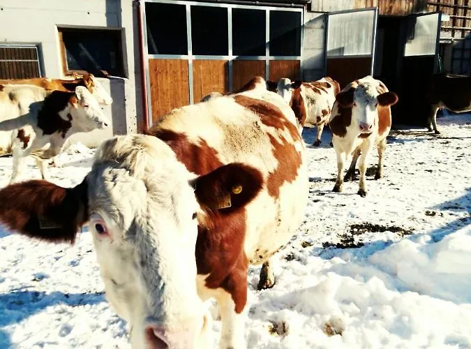 Hinterwinkl Appartement